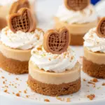 Mini Biscoff Cheesecakes Mini Biscoff Cheesecakes