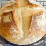 Speedy Same Day Sourdough Bread Speedy Same Day Sourdough Bread
