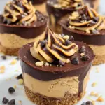 Chocolate Peanut Butter Mini Cheesecakes Chocolate Peanut Butter Mini Cheesecakes