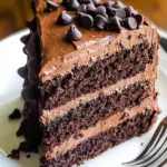 Deliciously Moist Chocolate Layer Cake
