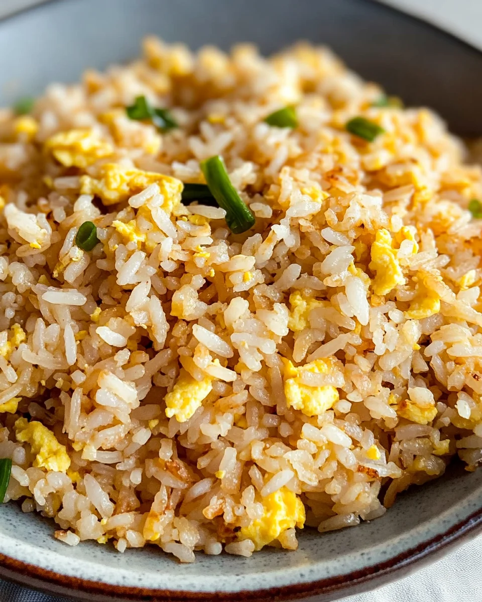 Egg Fried Rice 24 Egg